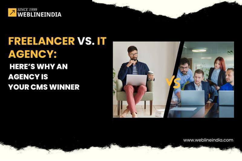 Freelancer vs IT Agency